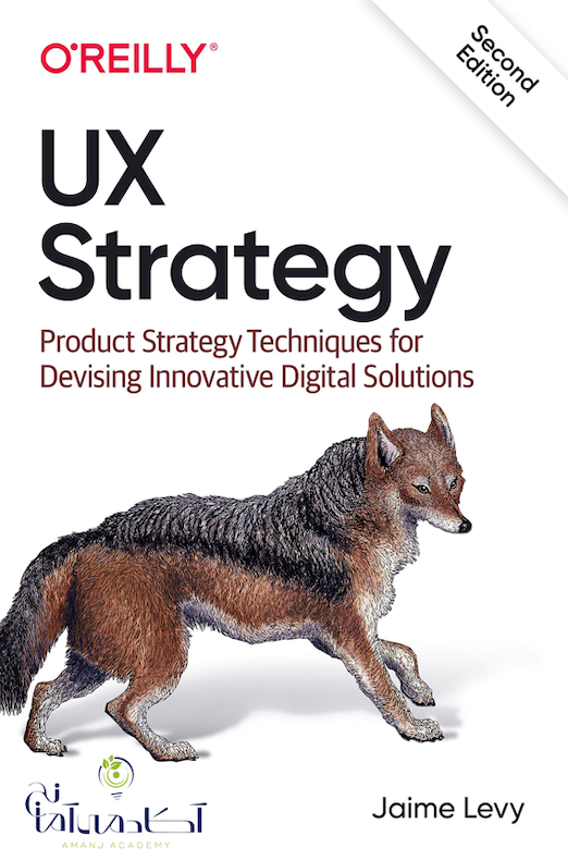 اصول استراتژی ux
